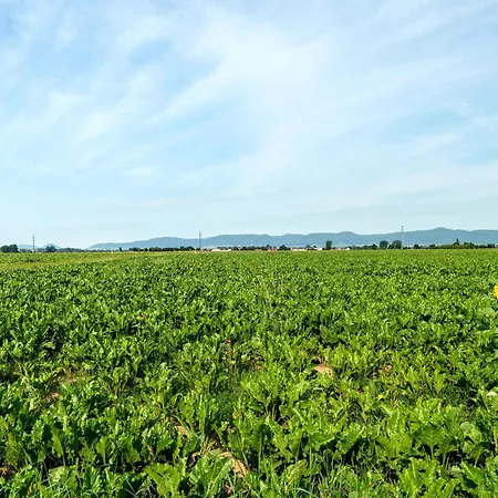 Am Storchennest Neustadt an der Weinstraße